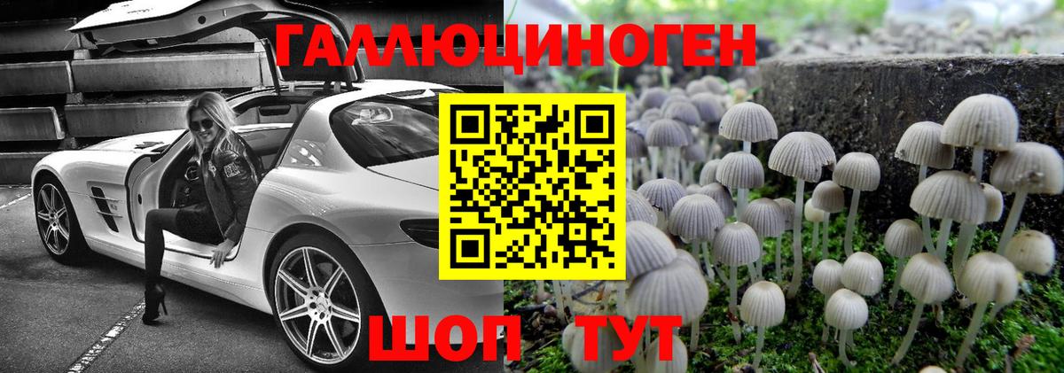 Галлюциногенные грибы Psilocybine cubensis  Вход с VPN  Тайшет  Псилоцибиновые грибы Cubensis 